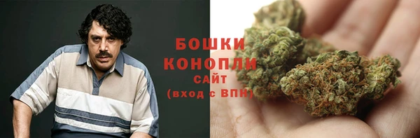 PSILOCYBIN Абаза