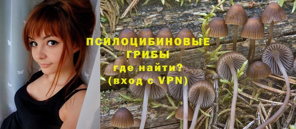 apvp Абдулино