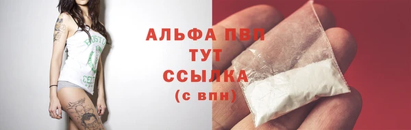 PSILOCYBIN Абаза