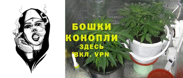 ПСИЛОЦИБИНОВЫЕ ГРИБЫ Ростов