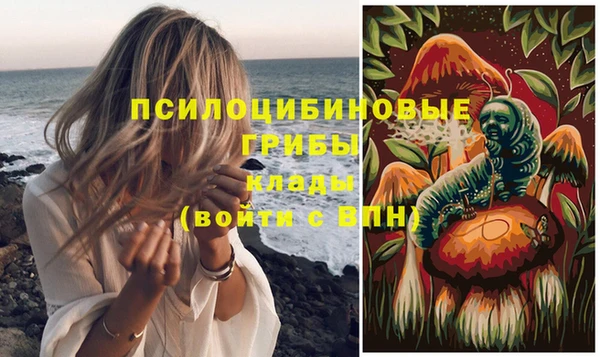PSILOCYBIN Абаза