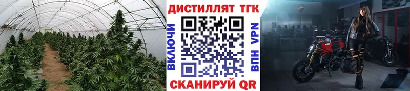 ТГК жижа  где продают   Монино 