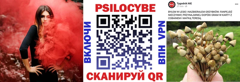 Псилоцибиновые грибы Psilocybe  Монино 